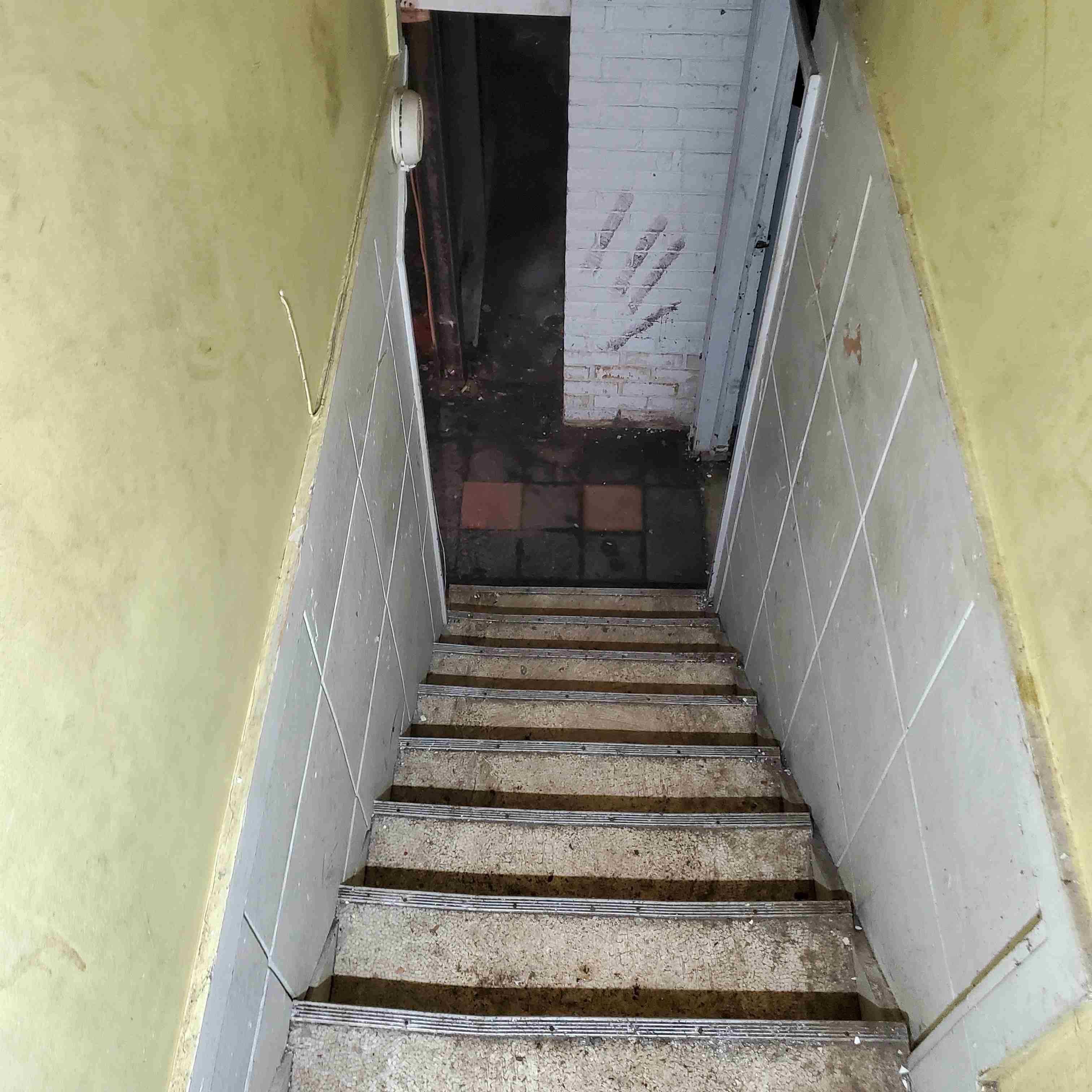 20200811_124800 (2).jpg